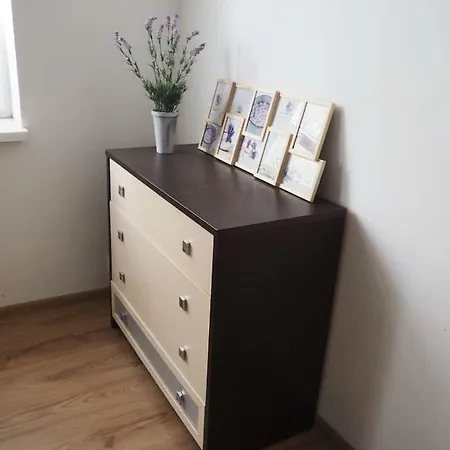 Hidden In The Old Town Under The Castle 公寓 *